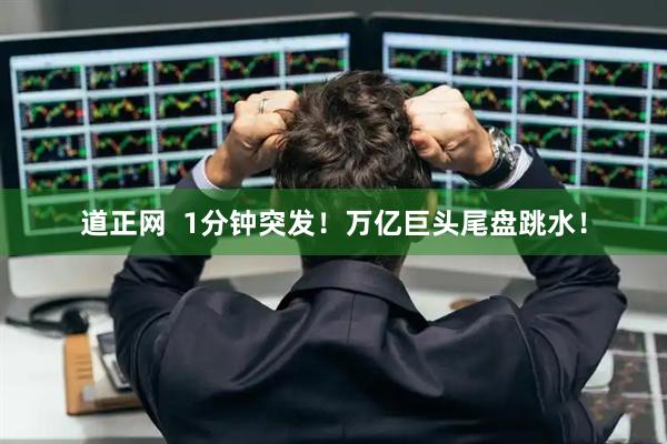 道正网  1分钟突发！万亿巨头尾盘跳水！