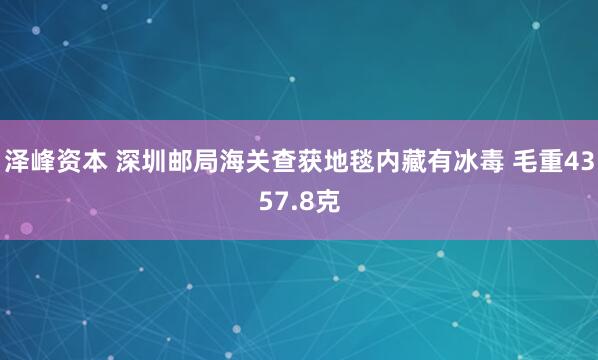 泽峰资本 深圳邮局海关查获地毯内藏有冰毒 毛重4357.8克