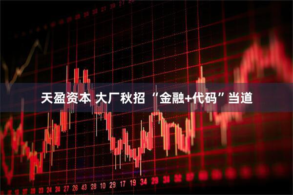 天盈资本 大厂秋招 “金融+代码”当道